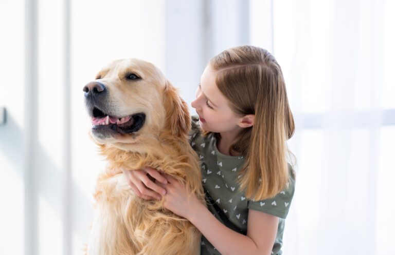 Child girl with golden retriever dog